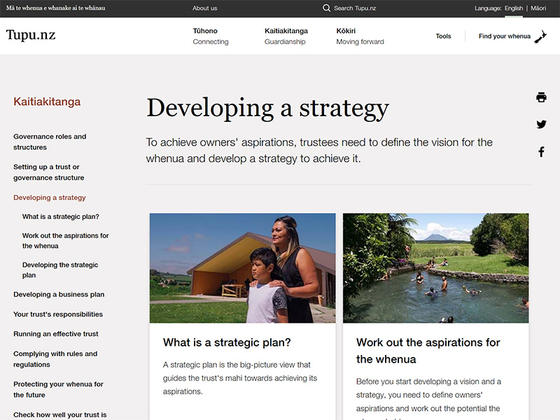A screenshot of the Tupu.nz "Developing a strategy" page.
