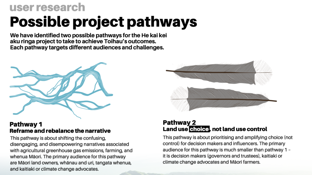 Braided river and feathers representing two possible pathways the project could take